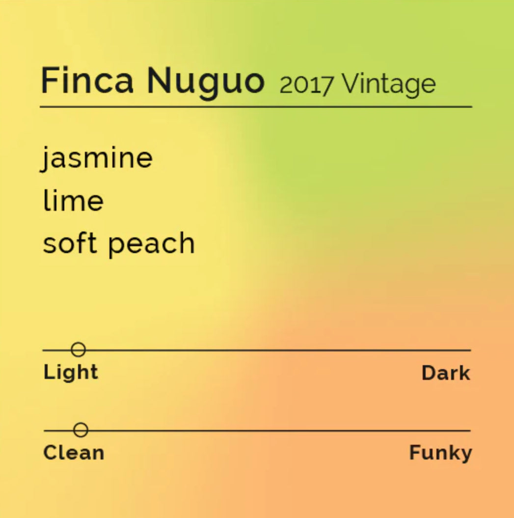 Limited: Finca Nuguo Gesha Set 3 x 50g