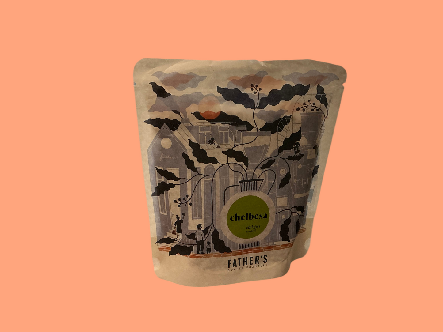 Ethiopia – Chelbesa-Washed