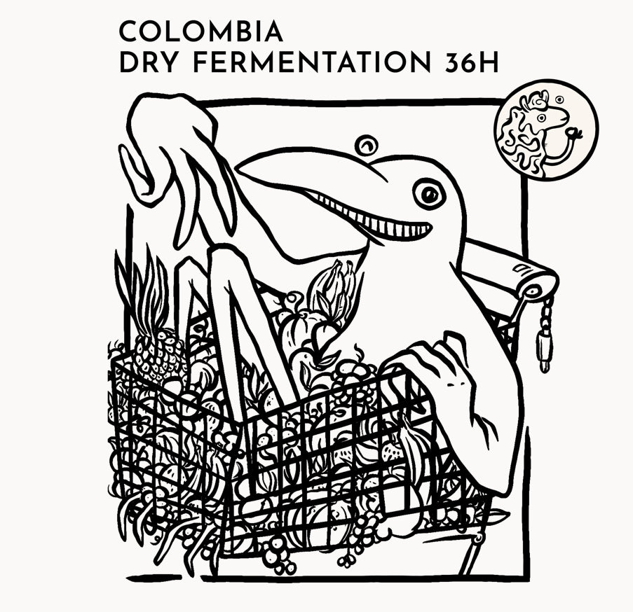 COLOMBIA - Granja Paraiso 92 Geisha, Pink Bourbon, Castillo, Java, SL28 (Dry Fermentation 36 Hours)
