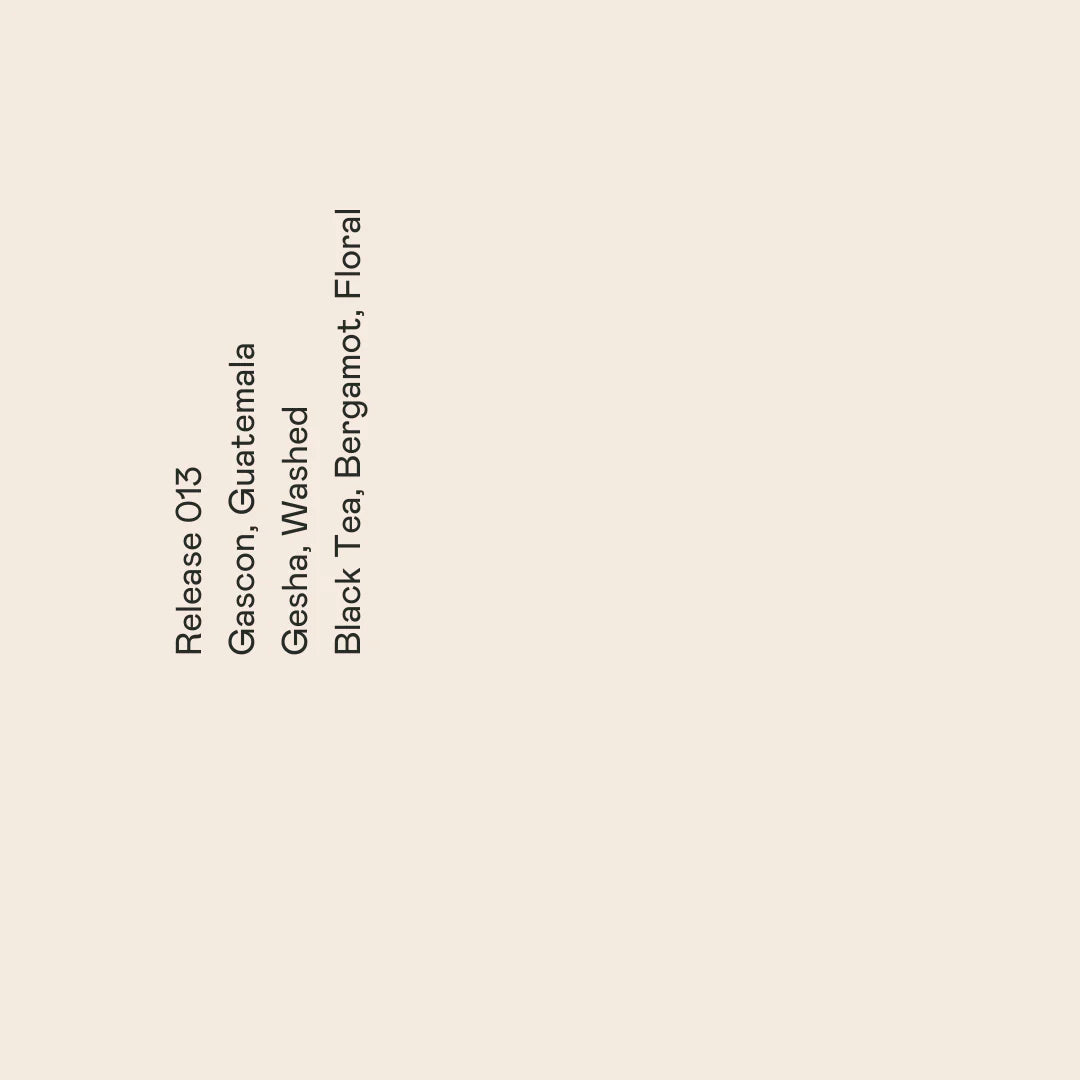 “World Coffee in Good Spirit 2023 Winning Coffee” GUATEMALA - Gascon Gesha (Washed)