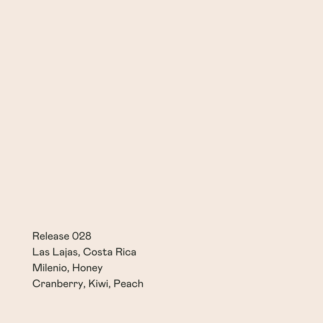 COSTA RICA - Las Lajas Milenio (Honey)