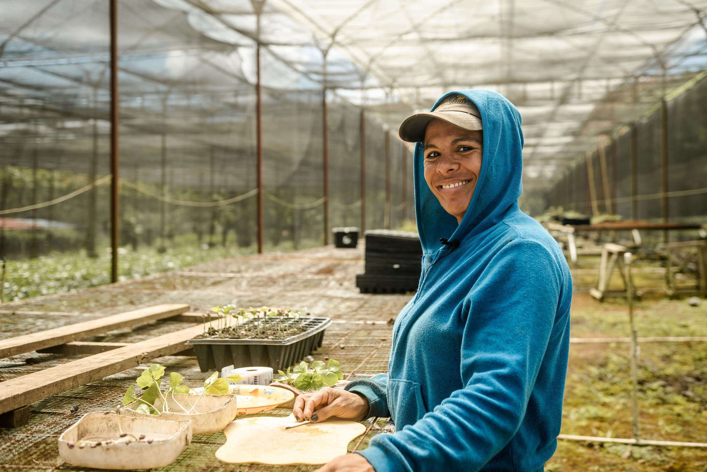 COSTA RICA - Central American Eucalyptus (Co-fermented)
