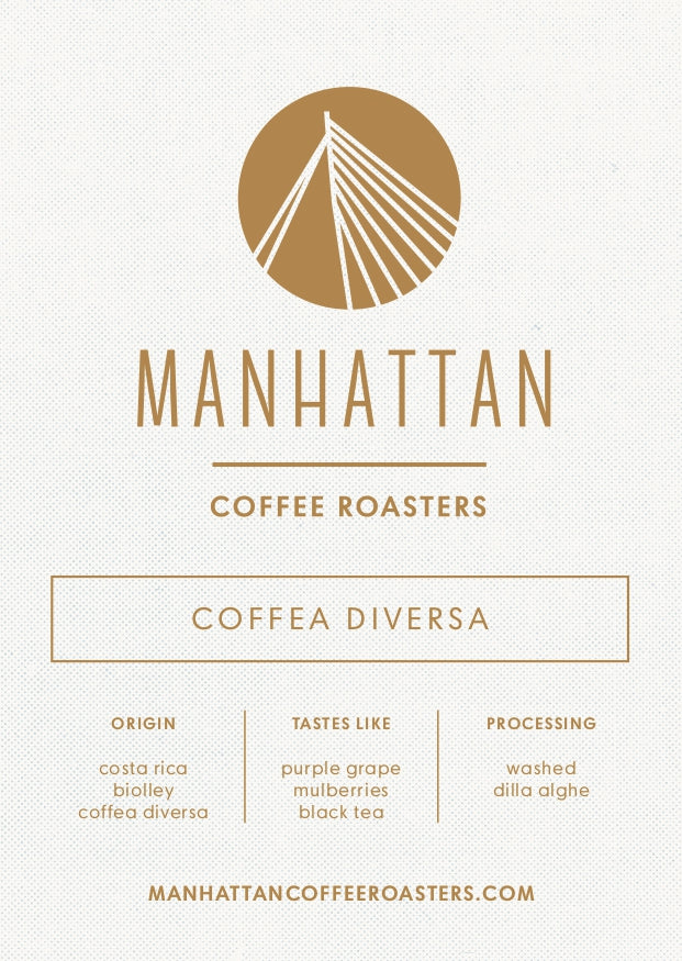 "ANNIVERSARY EXCLUSIVE COFFEE" COSTA RICA - Coffea Diversa Dilla Alghe (Washed)