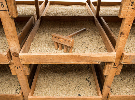 GUATEMALA - Santa Isabel (Washed)