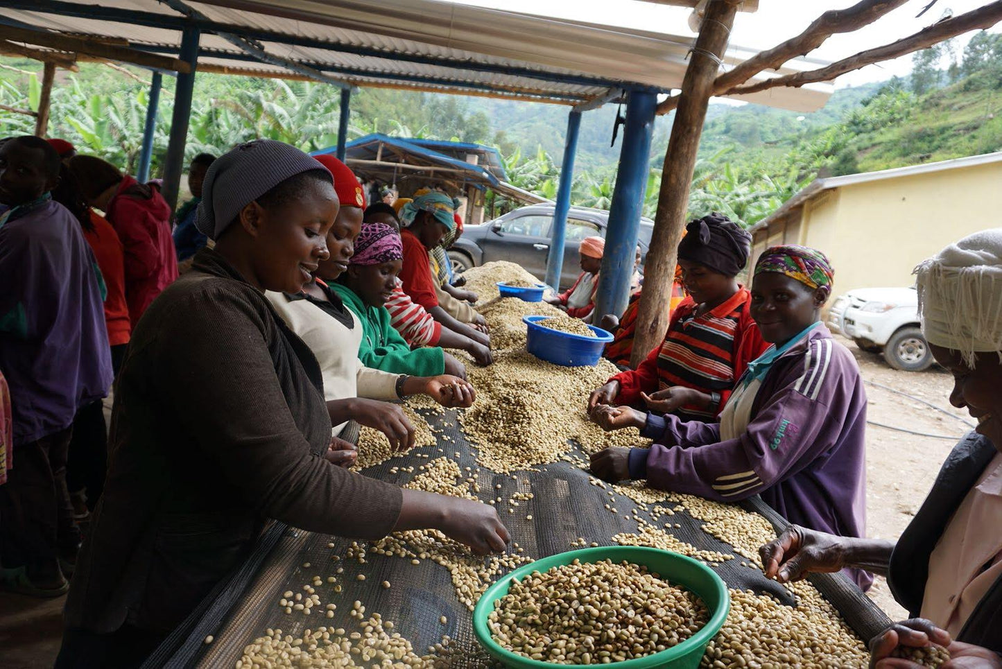 RWANDA - Vunga (Fully Washed)