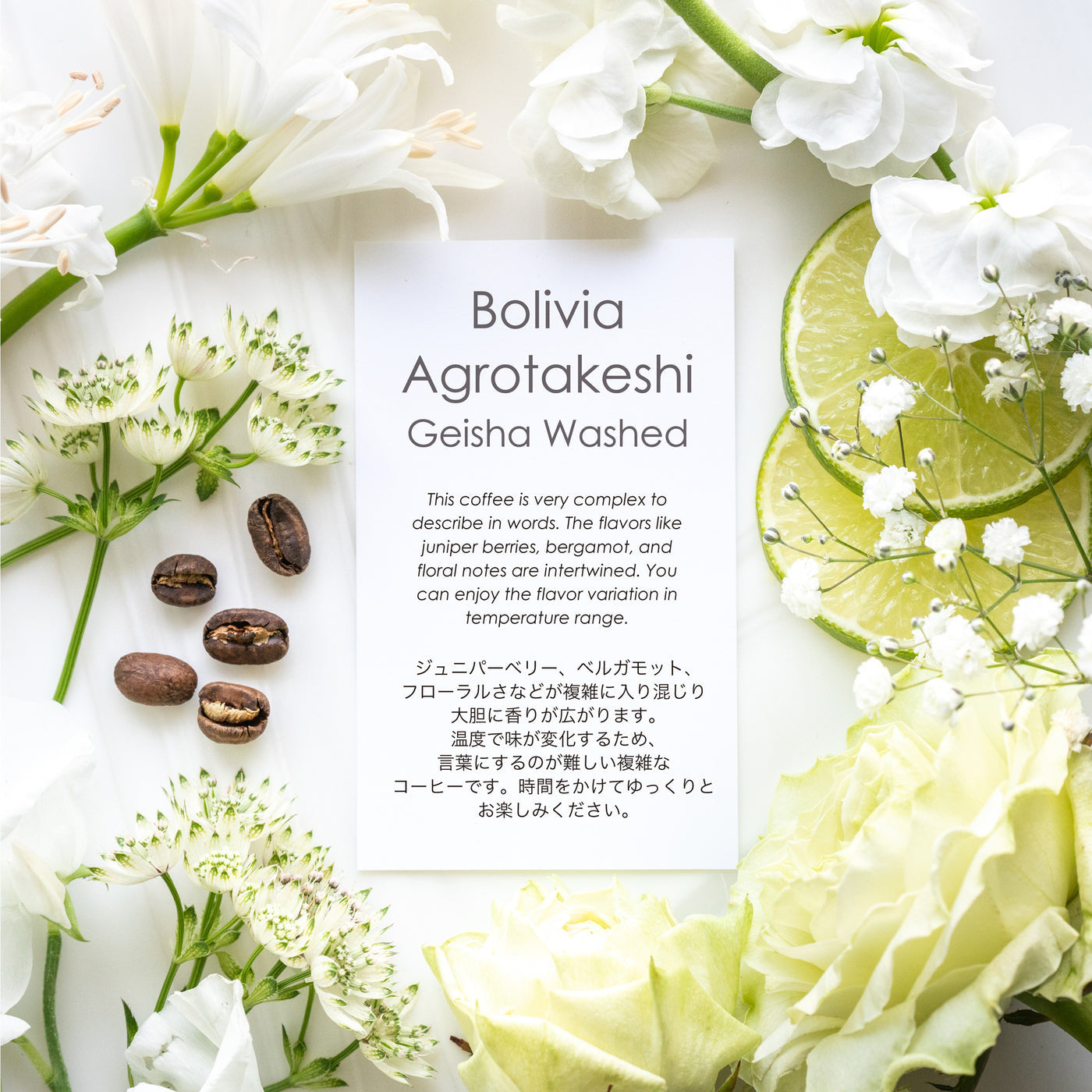 “LIMITED” BOLIVIA - Takeshi Geisha (Washed)