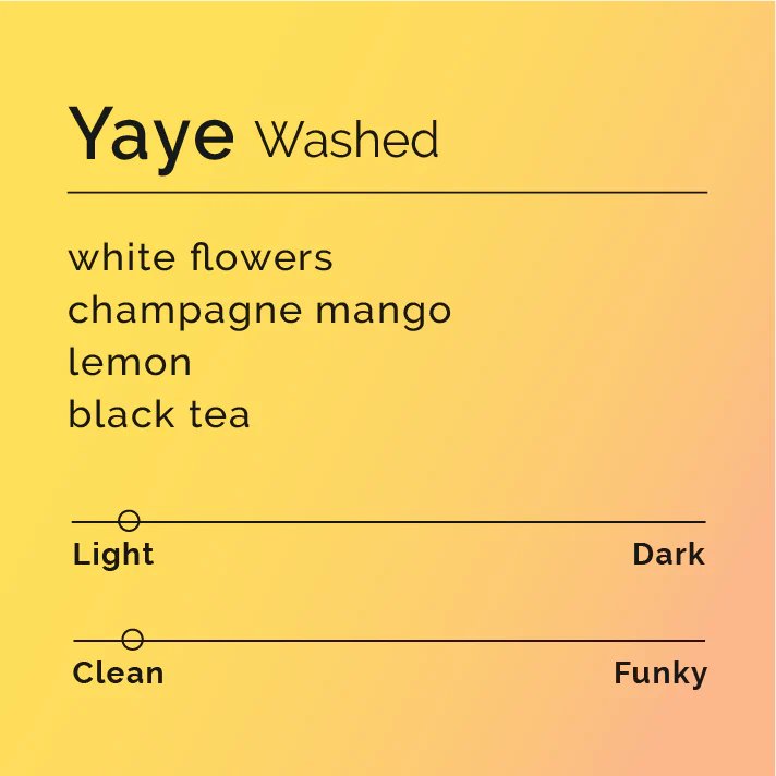 ETHIOPIA - Yaye (Washed)