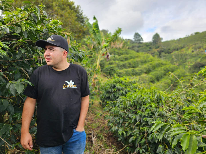 COLOMBIA - Las Flores Java (Anaerobic Washed)