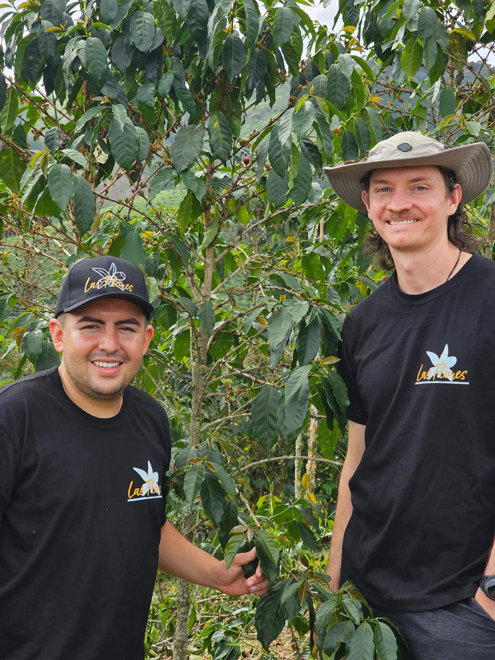 COLOMBIA - Las Flores Java (Anaerobic Washed)