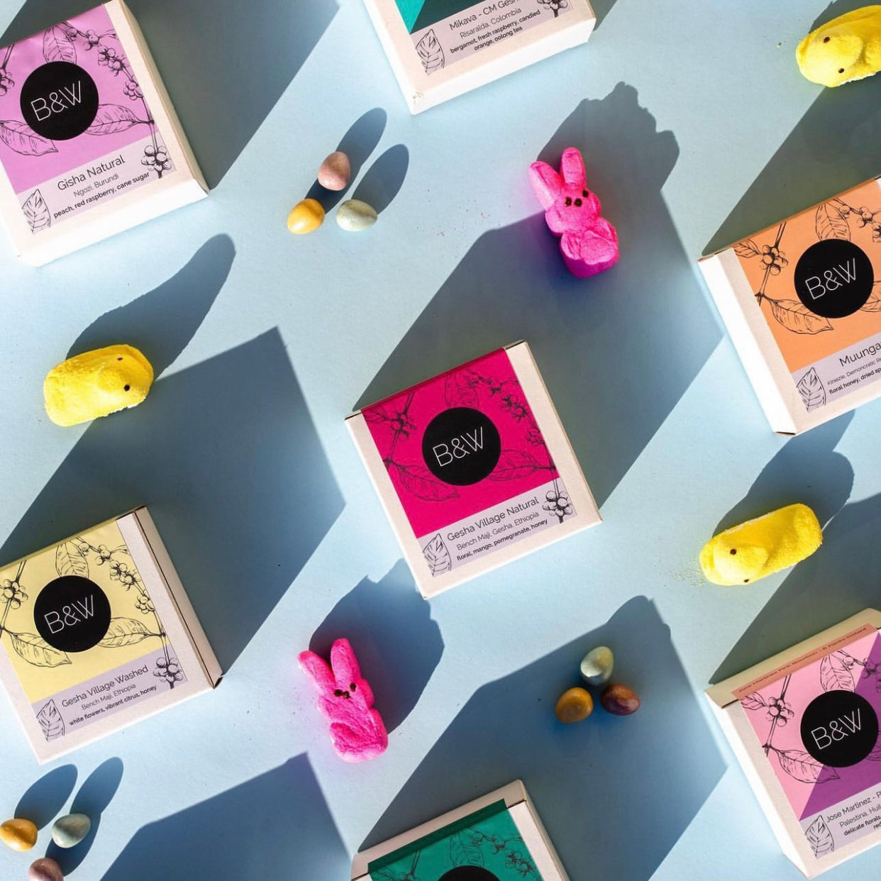 Instant Coffee - Costa Rica Ivan Solis Catuai (Cinnamon Anaerobic Washed)