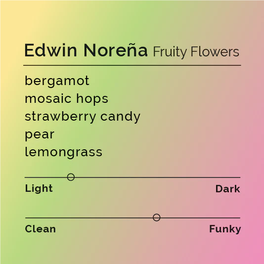 COLOMBIA - Edwin Noreña Red & Pink Bourbon “Fruity Flowers” (Red Fruits & IPA Process)