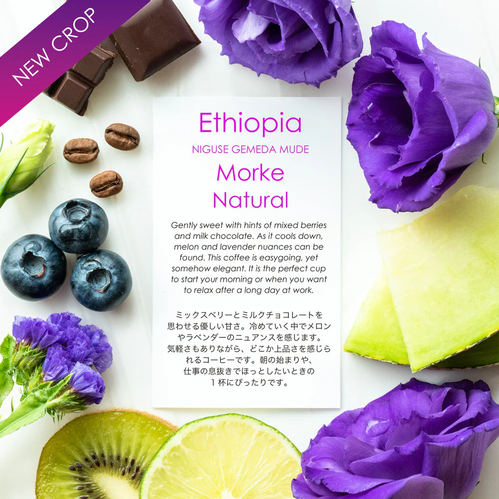ETHIOPIA - Niguse Gemeda Morke 74158 (Natural)