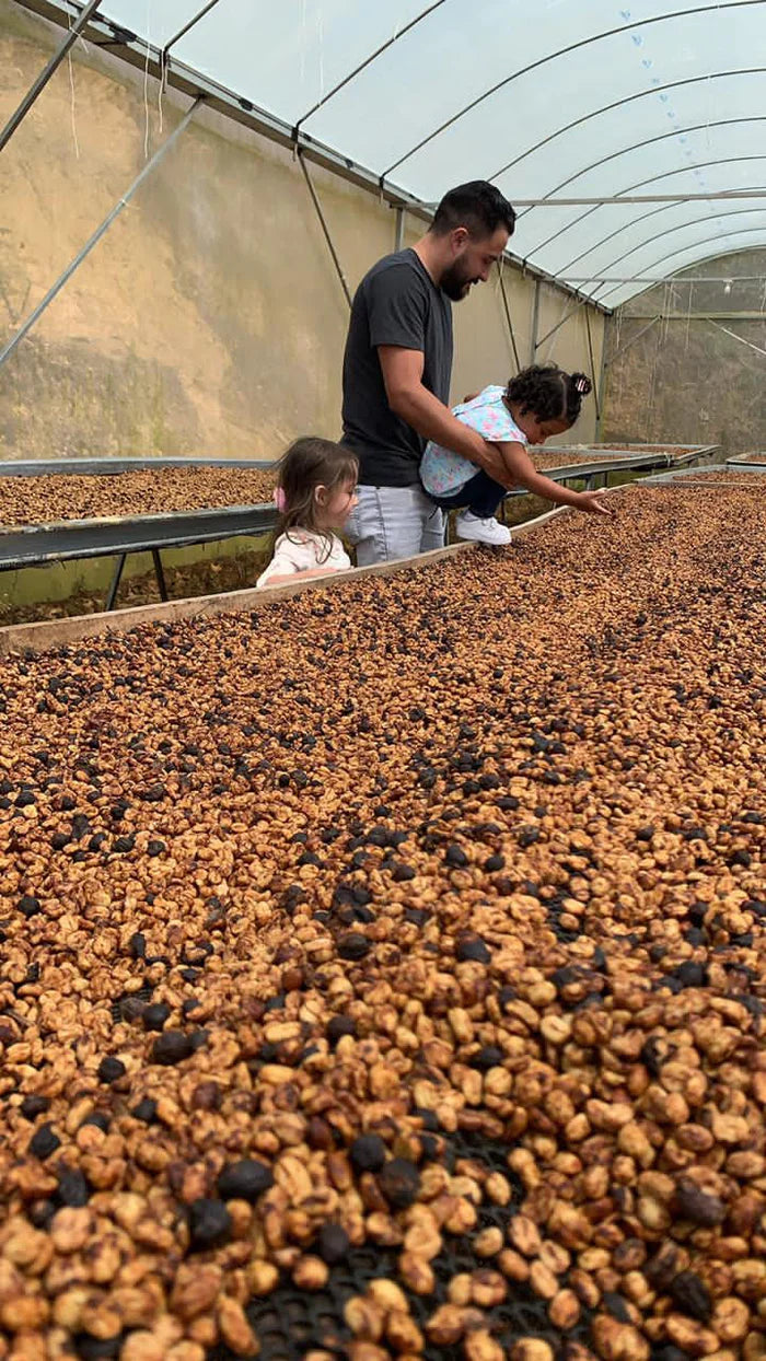 COSTA RICA - Don Mariano SL28 & Geisha (Natural)