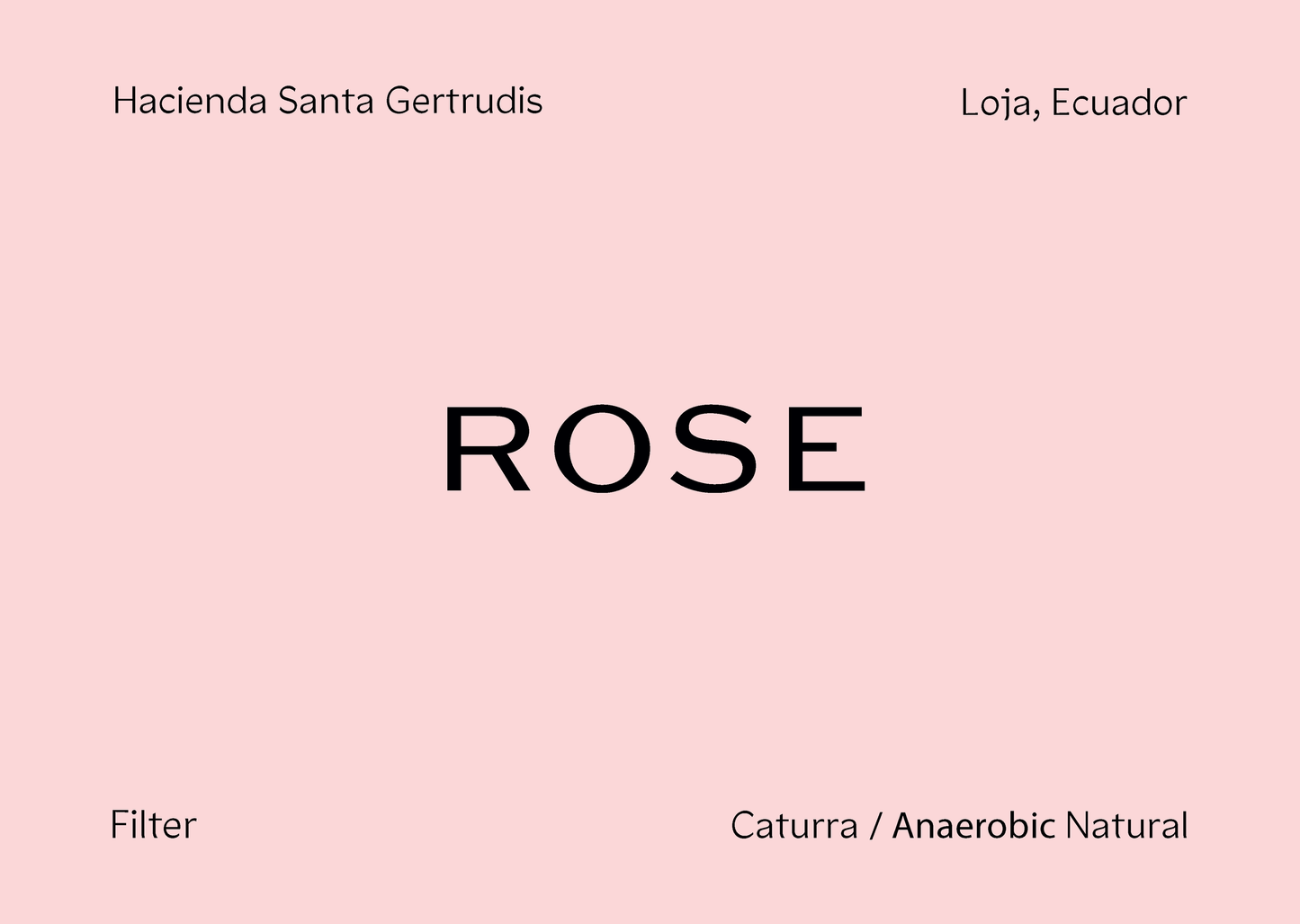 ECUADOR - Santa Gertrudis Caturra (Anaerobic Natural Slow Dry)