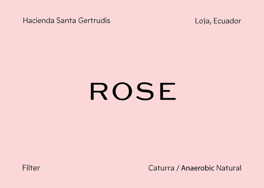 ECUADOR - Santa Gertrudis Caturra (Anaerobic Natural Slow Dry)