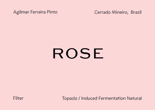 "Cerrado Auction #1 Winning Lot" BRAZIL - Agilmar Ferreira Pinto Topazio (Fermented Natural)