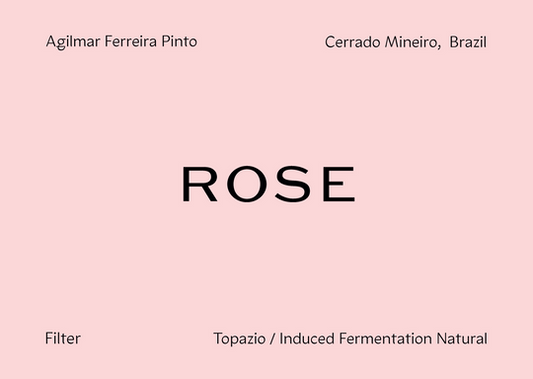 "Cerrado Auction #1 Winning Lot" BRAZIL - Agilmar Ferreira Pinto Topazio (Fermented Natural)