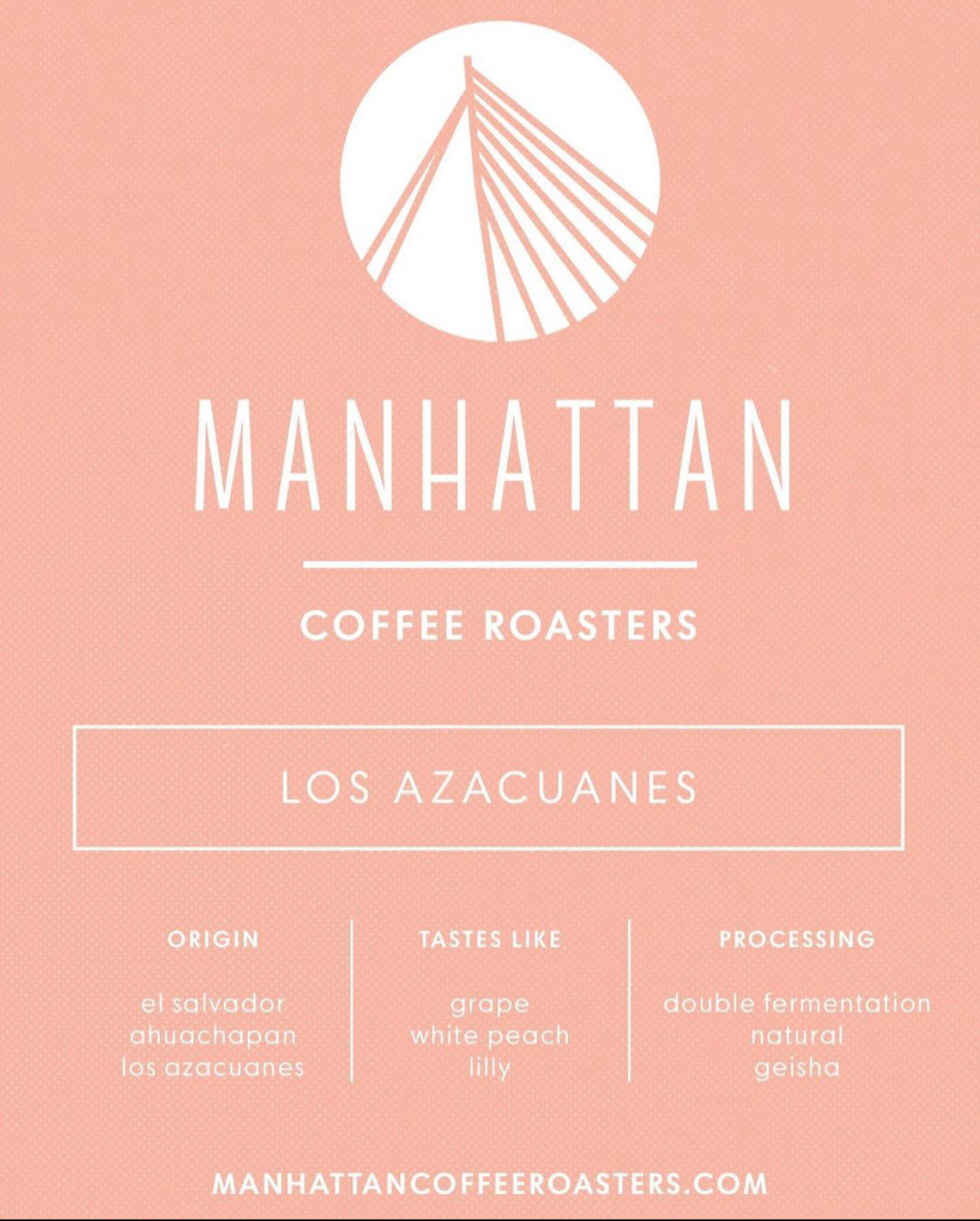 EL SALVADOR - Los Azacuanes Geisha (Double Fermentation Natural)
