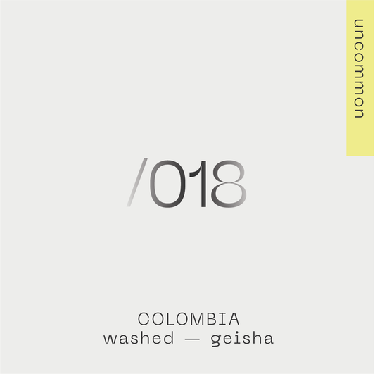 COLOMBIA - Gustavo Acevedo Geisha (Washed)